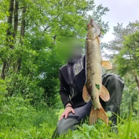 Le Petit Moulin Vakantiehuis *