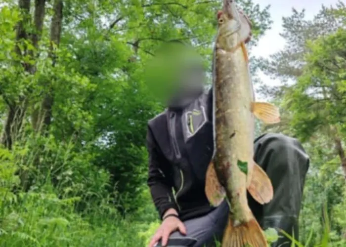 Le Petit Moulin Holiday home *